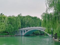 -济南大明湖景区