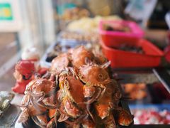 -三爷糟粕醋·鲜鱼汤·海南特色小吃(新华南路店)