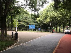 -大兴滨河森林公园