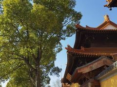 -亭林园-华藏寺