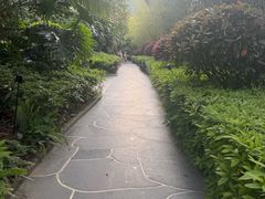 -腾冲洞山温泉村