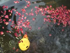 -北京美神宫艺术主题温泉酒店