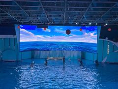 -海合安青岛极地海洋公园