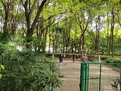 -黄兴公园