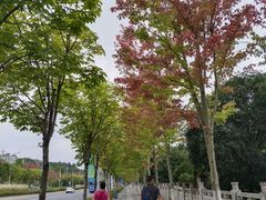 -贵阳市花溪国家城市湿地公园