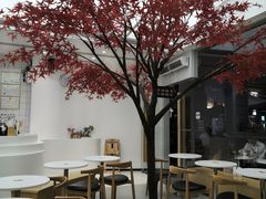 -艾薯夫妇Aysh(福田星河COCOPark店)