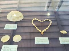 -上海海洋大学鱼文化博物馆(军工路校区)