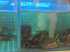 -七欣天香辣蟹火锅(南京桥北太平店)