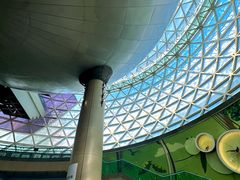 -陕西自然博物馆