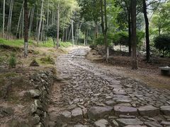 -仙霞关景区