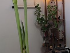 -诗宇时光茶艺书法古琴培训