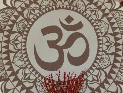 -九月瑜伽·普拉提