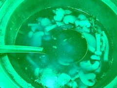 -鹅滋道(甘坑古镇店)