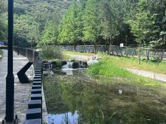 -白水寺森林公园