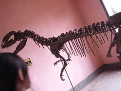 -自贡恐龙博物馆