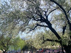 -艾山风景名胜区