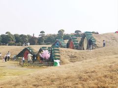 -武汉紫薇都市田园