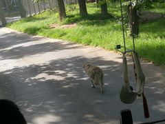 -西安秦岭野生动物园