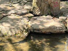 -兰亭风景区
