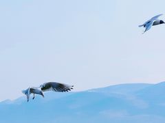 -大理洱海
