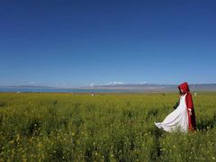 -青海湖国家重点风景名胜区