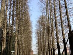 -华西村