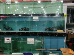 水产区-源海渔村·现捞海鲜(大角湾店)