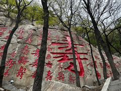 -沂蒙山旅游区龟蒙景区