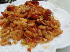 -欢乐海岸美食联盟