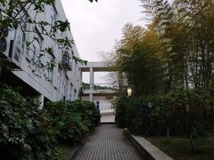 -苏州城市学院