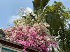 -深圳国际园林花卉博览园