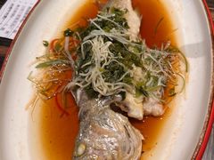 翅汤东海大黄鱼-江太极江浙菜(马桥万达广场店)