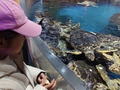 -海合安武汉极地海洋公园