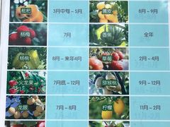 -呀路古热带植物园-恐龙馆
