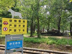 -秦皇岛野生动物园