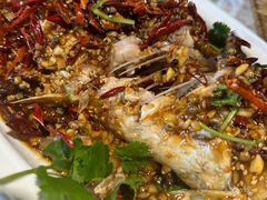 -百味地锅鸡(二店·财校分店)