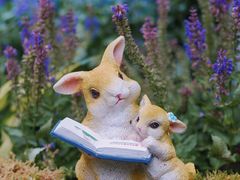 -上海滨江森林公园