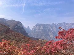 -周口店坡峰岭风景区