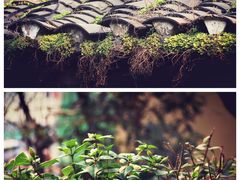 -山城巷传统风貌区