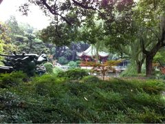 iphone_upload_pic-申粤轩酒楼·三十年粤菜经典(丁香花园店)