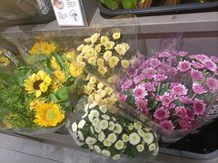 -鹿岛生活(熙地港店)