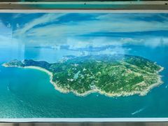 -广东惠东海龟国家级自然保护区