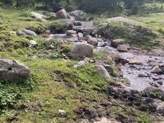 -芦芽山旅游度假区