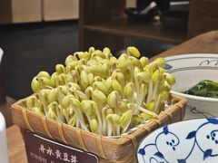 -巴奴毛肚火锅概念餐厅