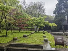 -镇江市南山风景名胜区竹林景区