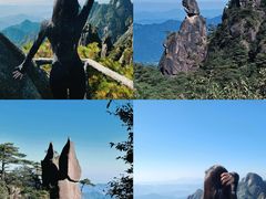 -万达广场(泰安泰山店)