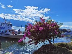 -大理洱海