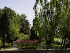 -团结湖公园