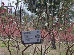-桃花涧