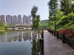 -重庆彩云湖湿地公园